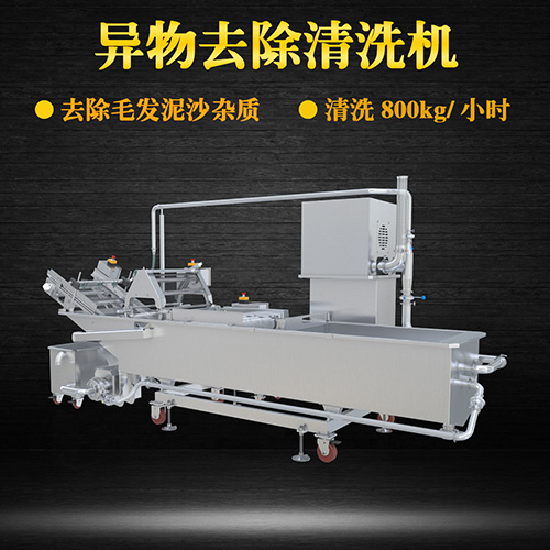 果蔬氣泡翻洗機，有效清洗，過濾泥沙